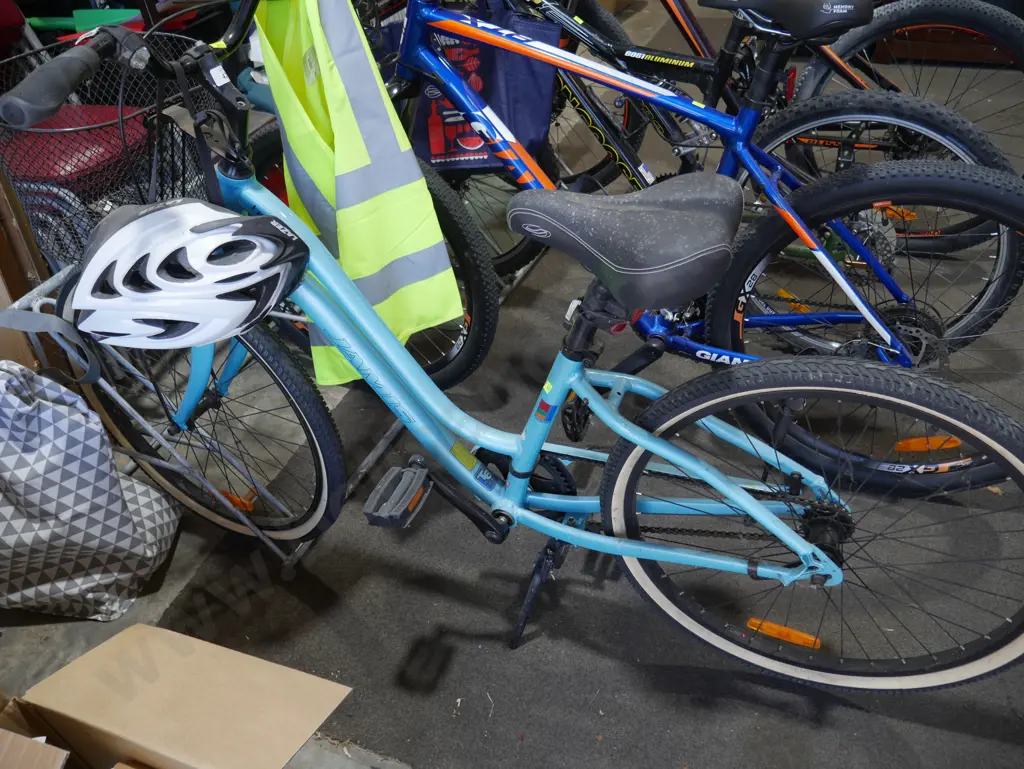 Ladies Jamis bike Image 1++