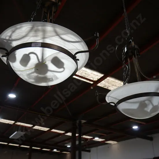 2 light fittings and shades