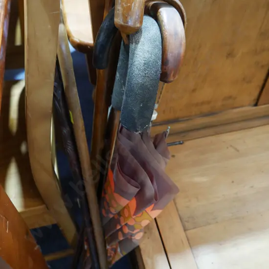 Walking sticks, umbrella