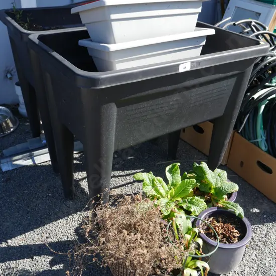 Planters and potted plants