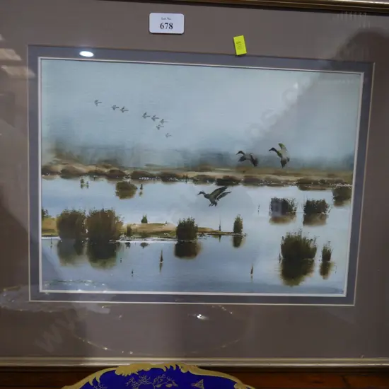 Garrick Tremain ducks