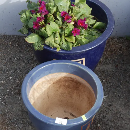 Plant pot and potted plant