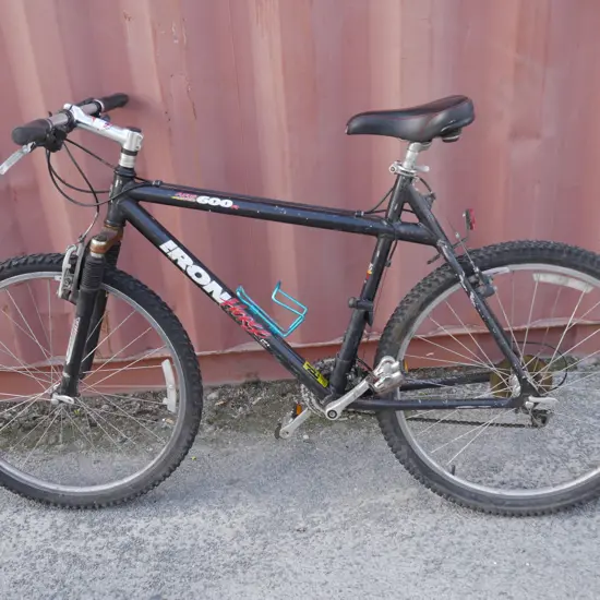 Iron horse mountain bike