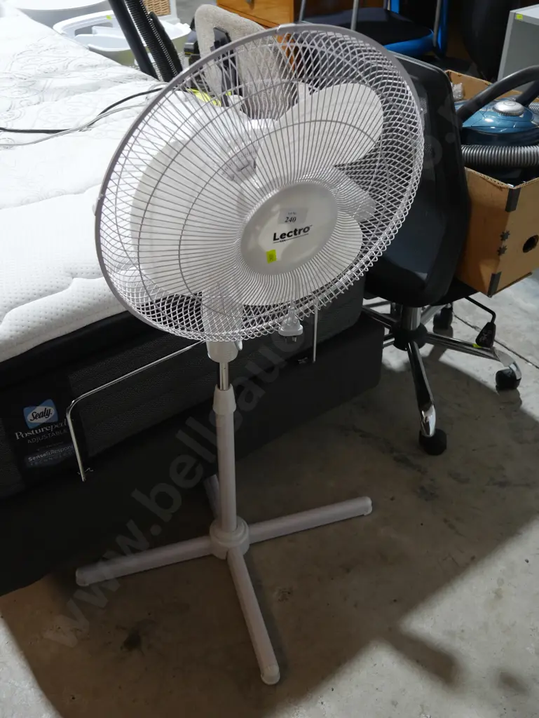 Standard fan Image 1++