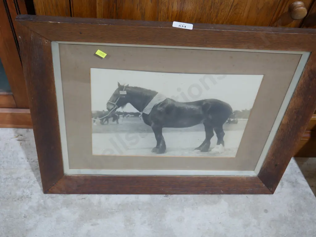 Framed horse photograph Image 1++