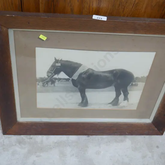Framed horse photograph