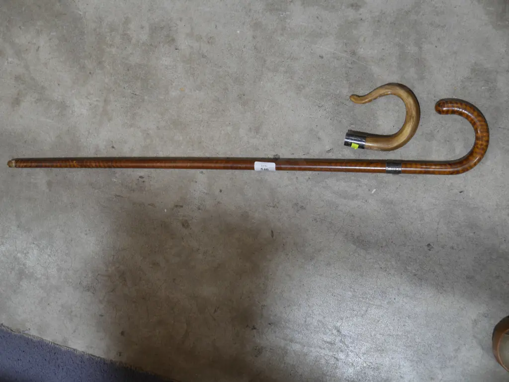 Silver band walking stick and extra handle Image 1++