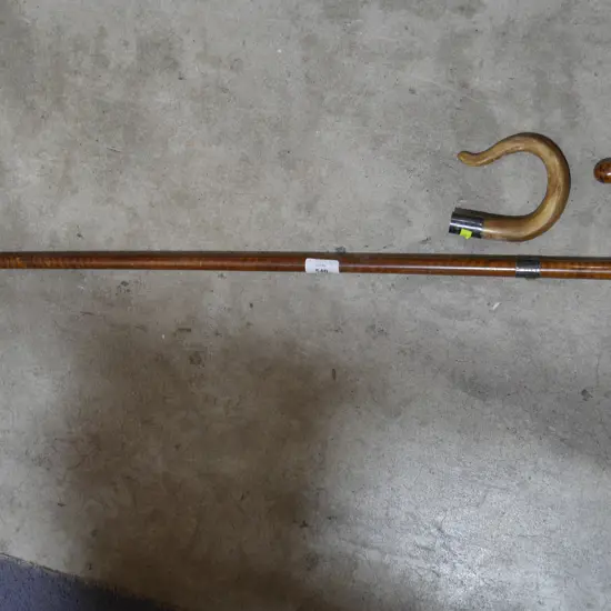 Silver band walking stick and extra handle