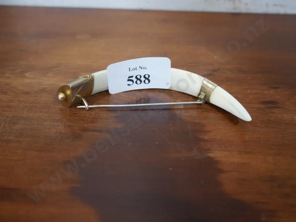 Boars tusk NZ brooch Image 1++