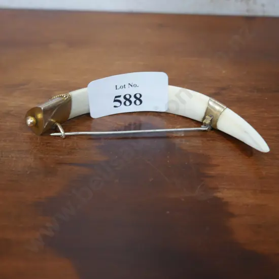 Boars tusk NZ brooch