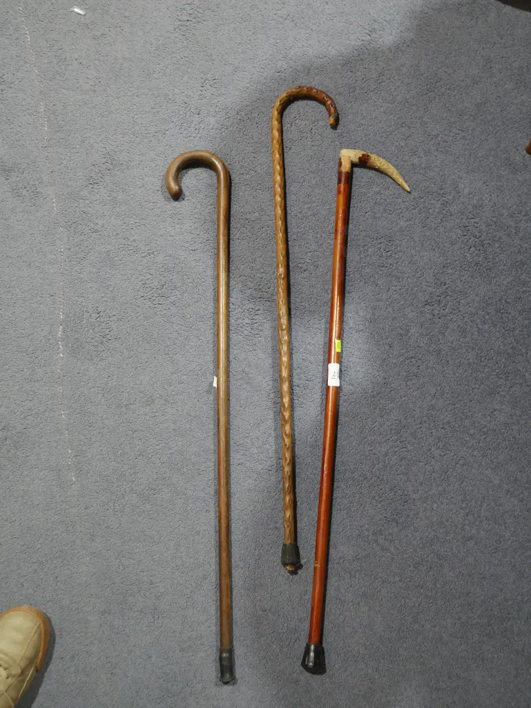 3 walking sticks Image 1++