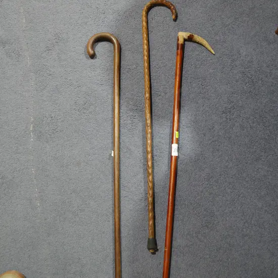 3 walking sticks