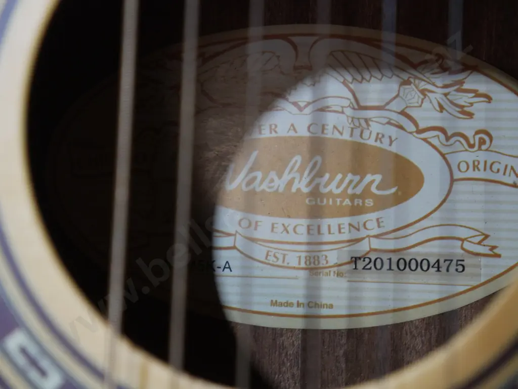 Washburn guitar Image 1++