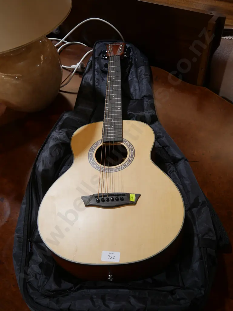 Washburn guitar Image 1++