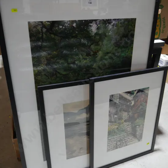 3 framed pictures