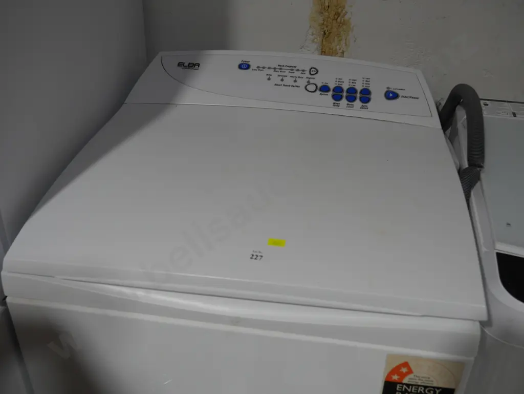 F&P washing machine Image 1++