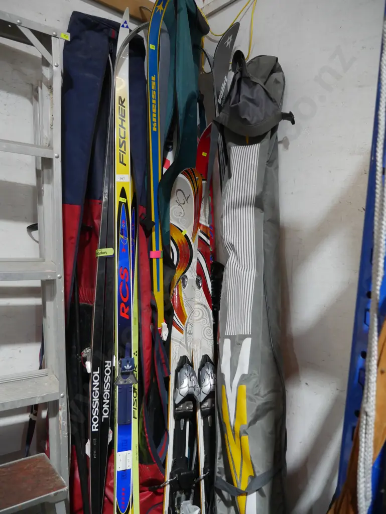 Skis and poles Image 1++