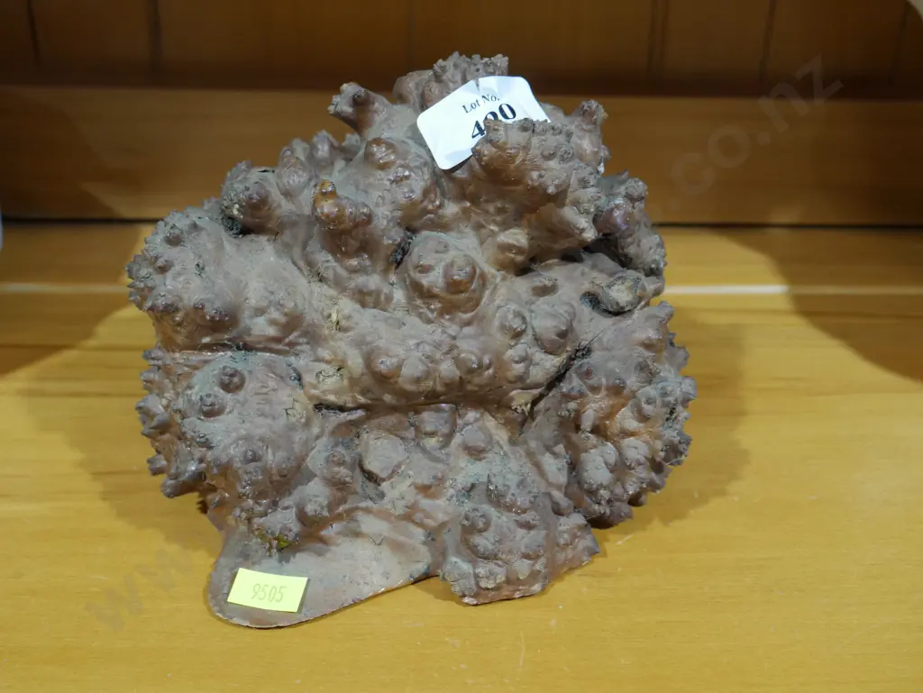 Wooden burl Image 1++