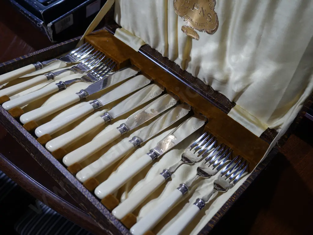 Cased fish set Image 1++