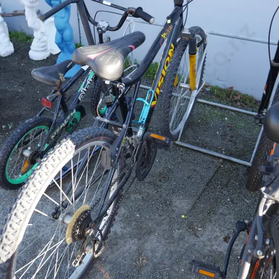 Vision. Mountain bike