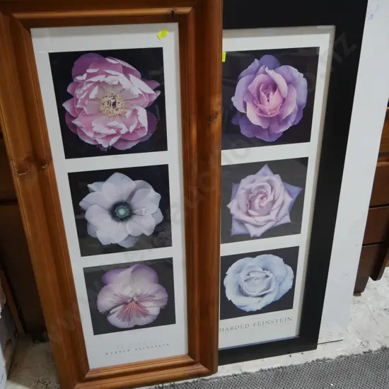 Harold Feinstein flower art and canvas