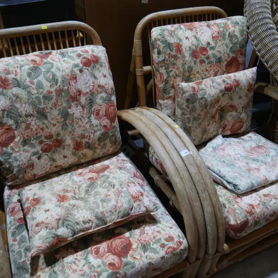 Pair of cane Patio chairs