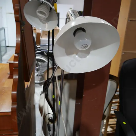 2 upright reading lamps