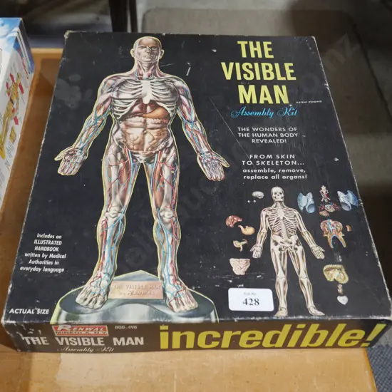 Visible man