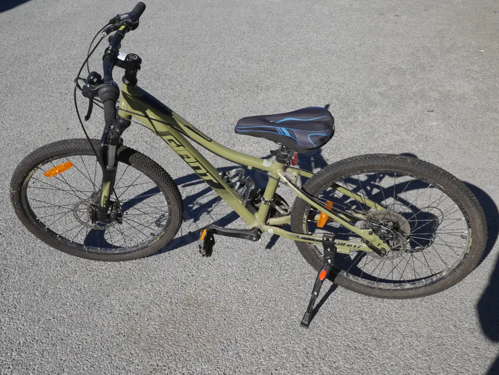 Giant mountain bike Image 1++