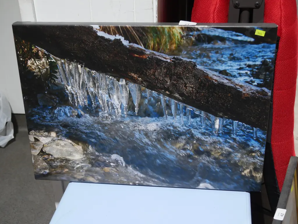 Canvas photo Image 1++