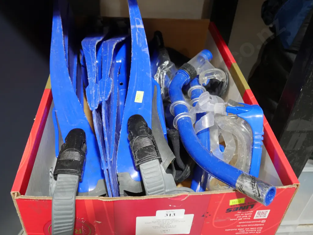 Flippers and snorkels Image 1++