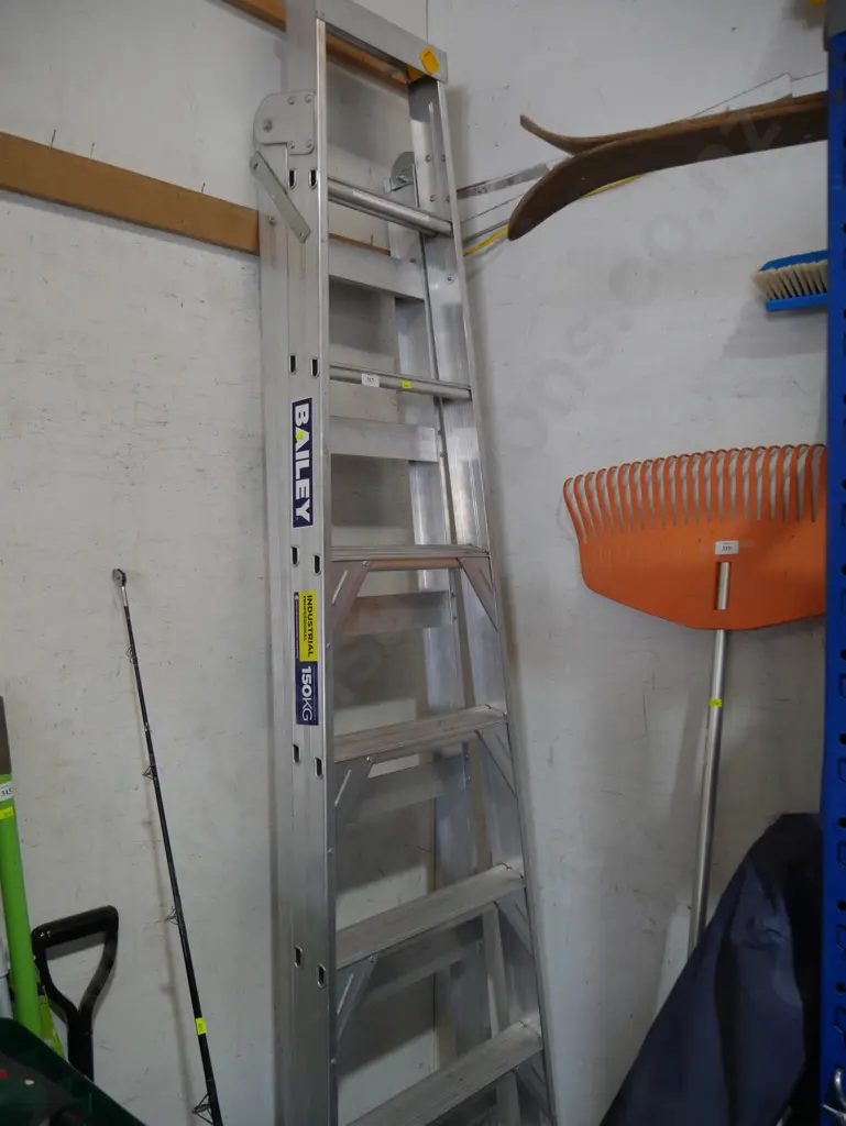 Bailey ladder Image 1++