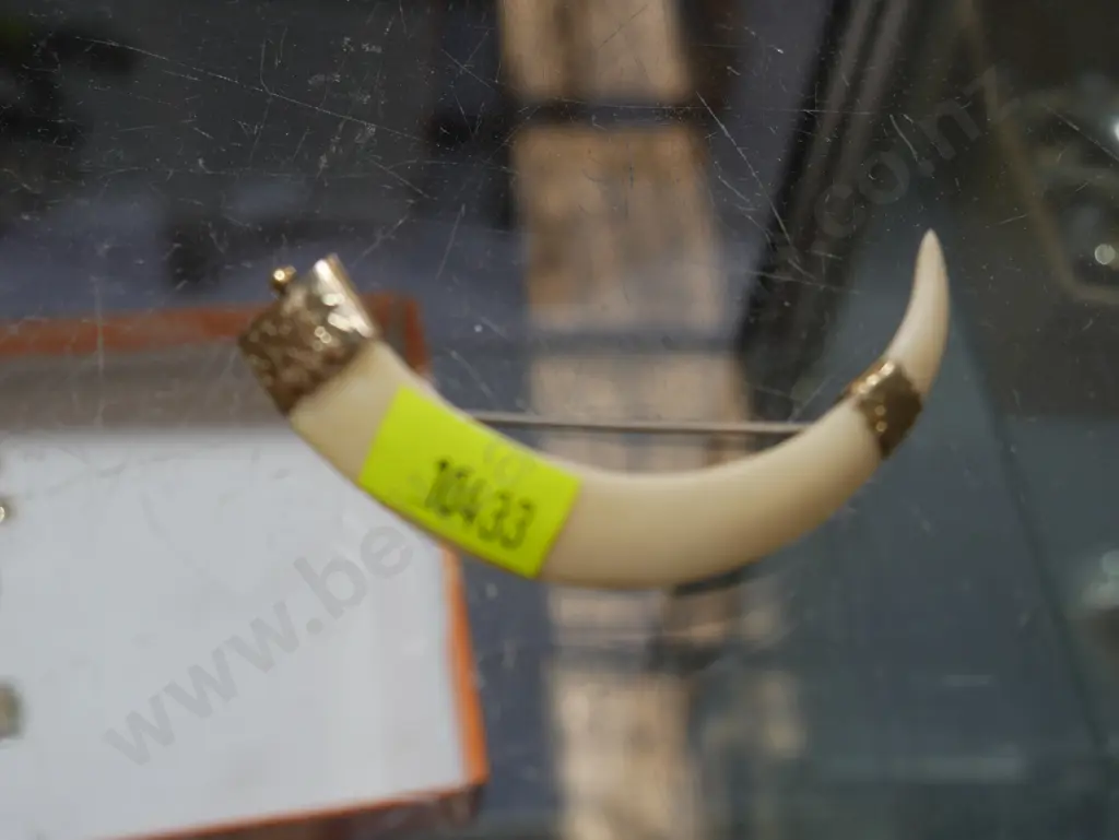 Gold mounted brooch Image 1++