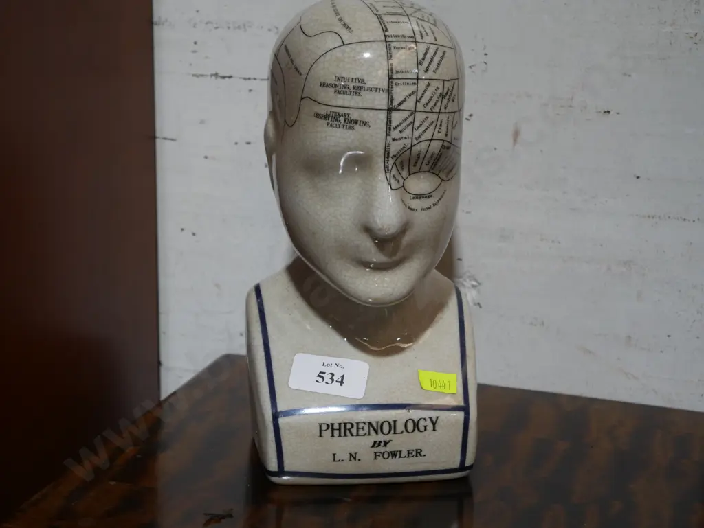 Phrenology head Image 1++