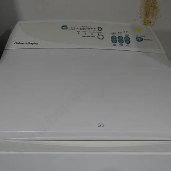 Fisher and Paykel washing machine