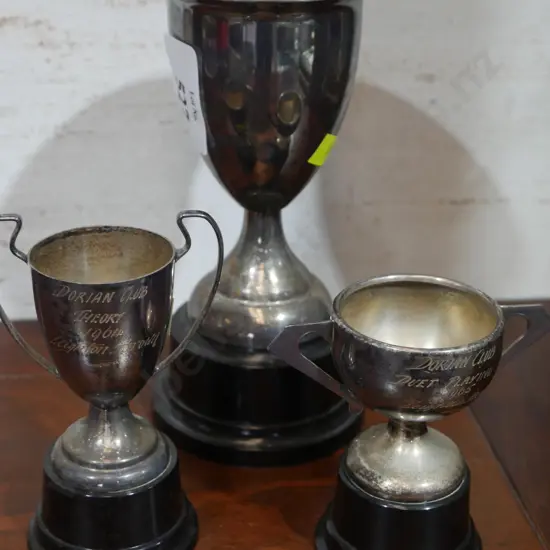 2 trophy cups