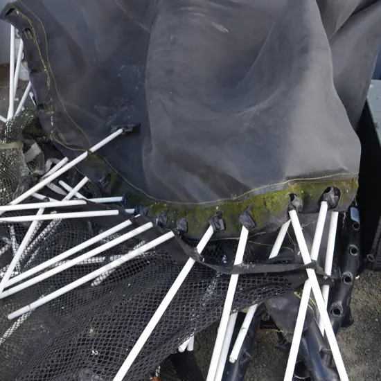 Spring free trampoline