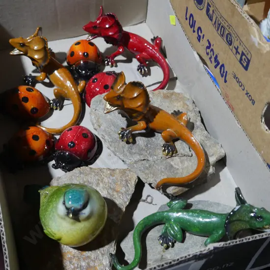 Lady bug, lizards etc