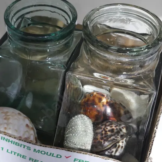 Glass jars , shells
