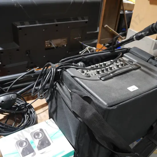 Roland guitar amp , microphone and stands