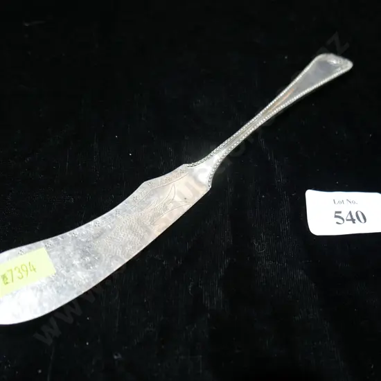 Silver fish slice