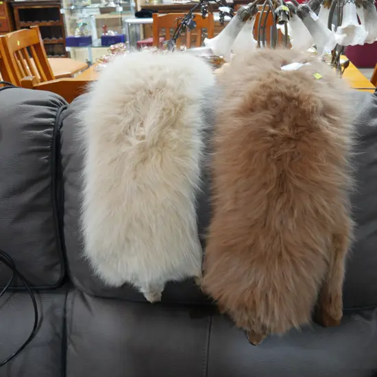 2 fox furs