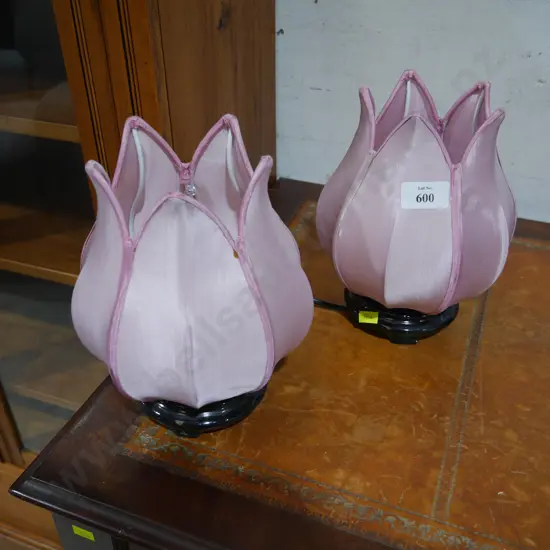 Pair of lamps