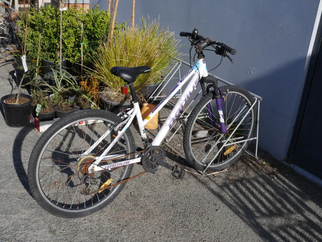 Radius mountain bike Image 1++