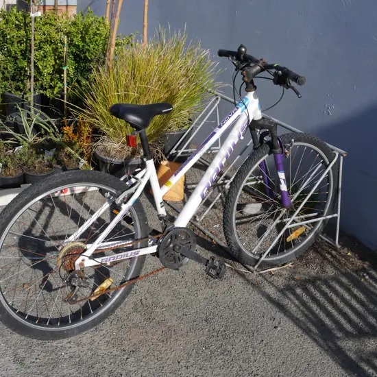 Radius mountain bike