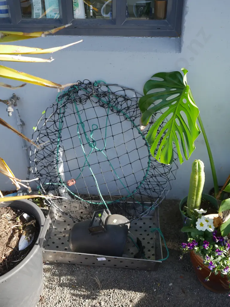 Crab net, welding helmet Image 1++