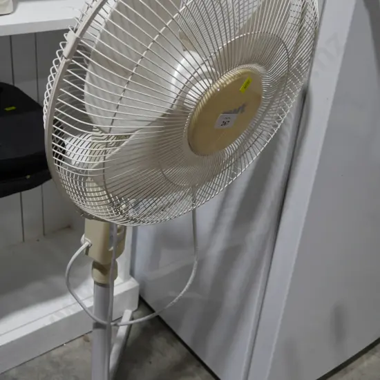 Fan