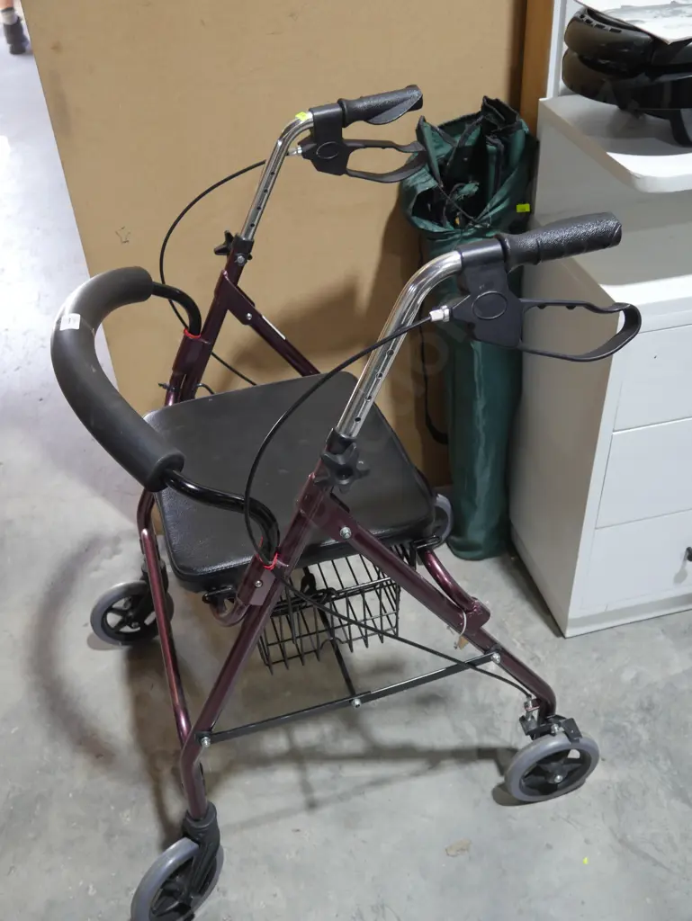 Mobility walker Image 1++