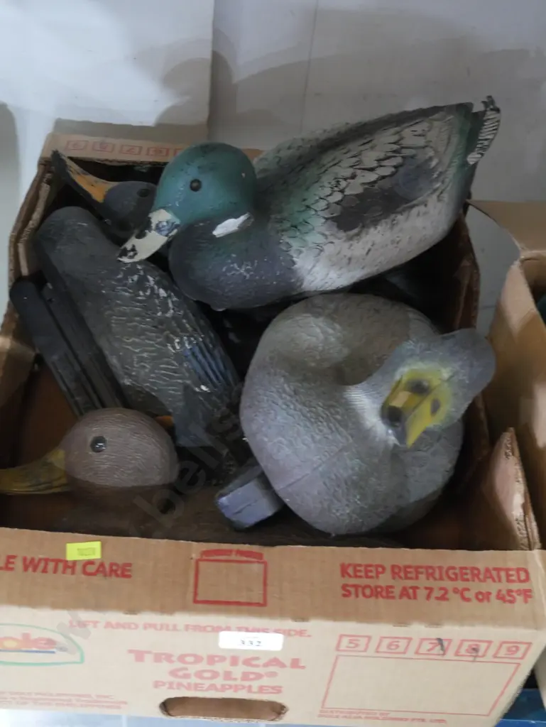 Duck decoys Image 1++