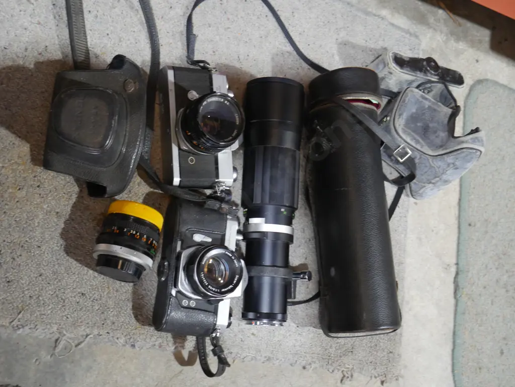 Canon camera and lenses Image 1++